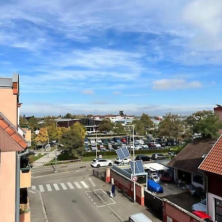 Superbe Duplex Proche Centre Ville Parking Gratuit Colmar Exteriör bild